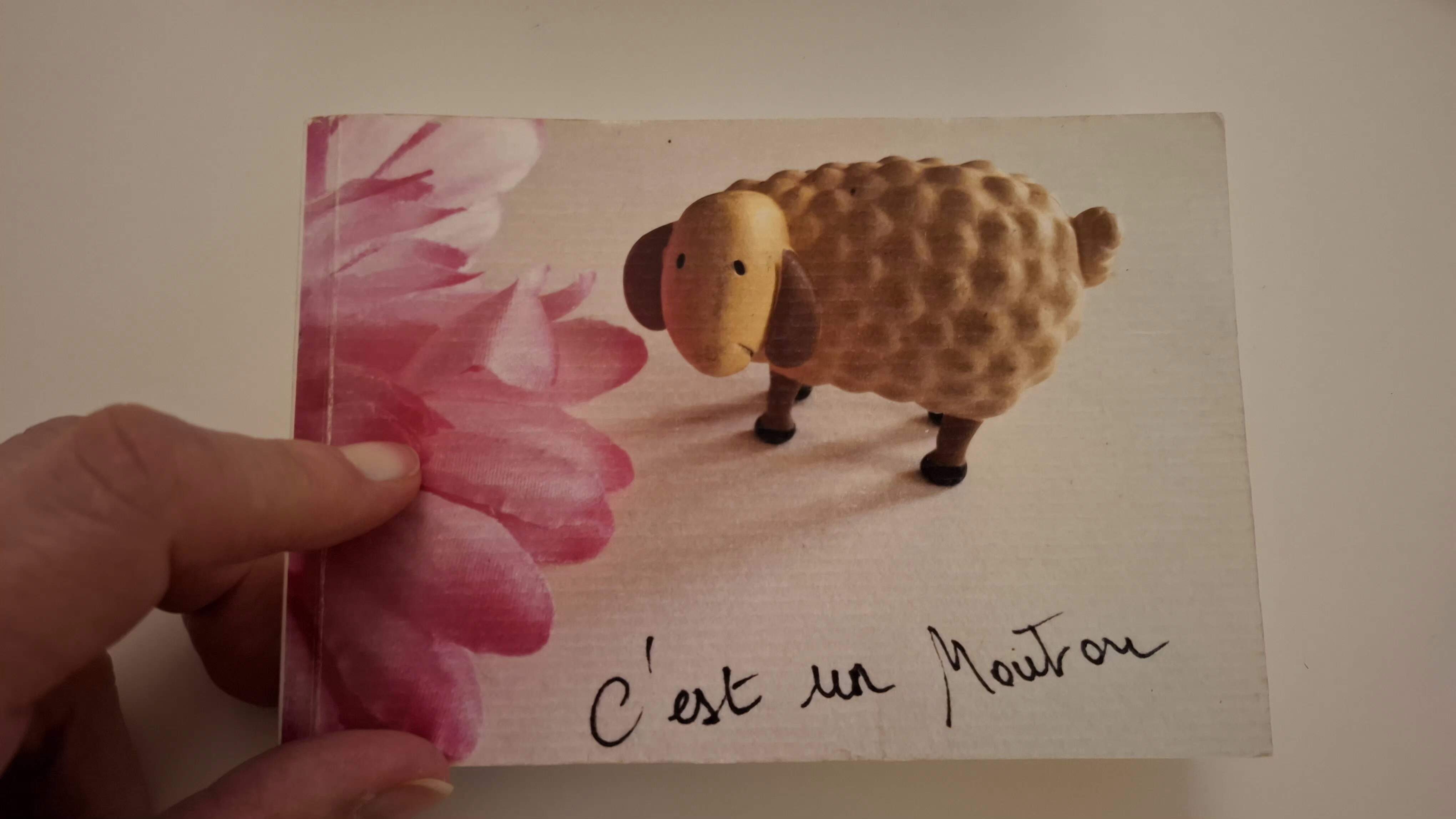 Lire la suite à propos de l’article Le livre d&rsquo;artiste