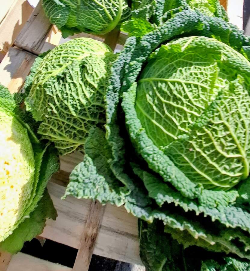 Lire la suite à propos de l’article Hémisphères et apaisement